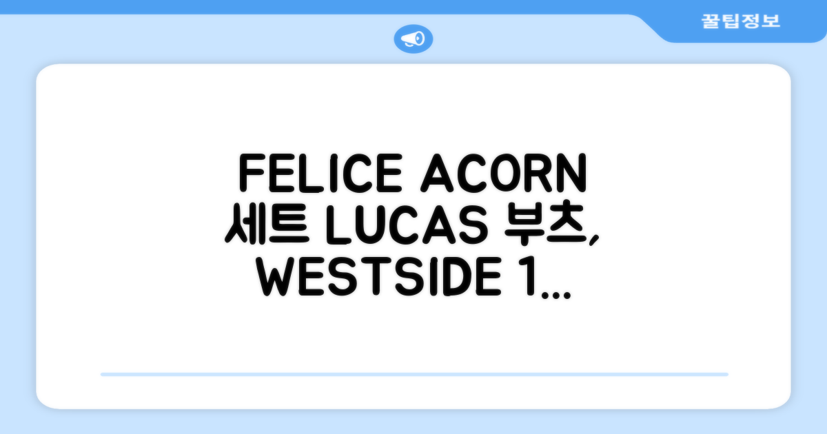 FELICE 장비세트6 ACORN데크 바인딩 LUCAS부츠, WESTSIDE 레드154+바인딩M, 1개 추천 리뷰