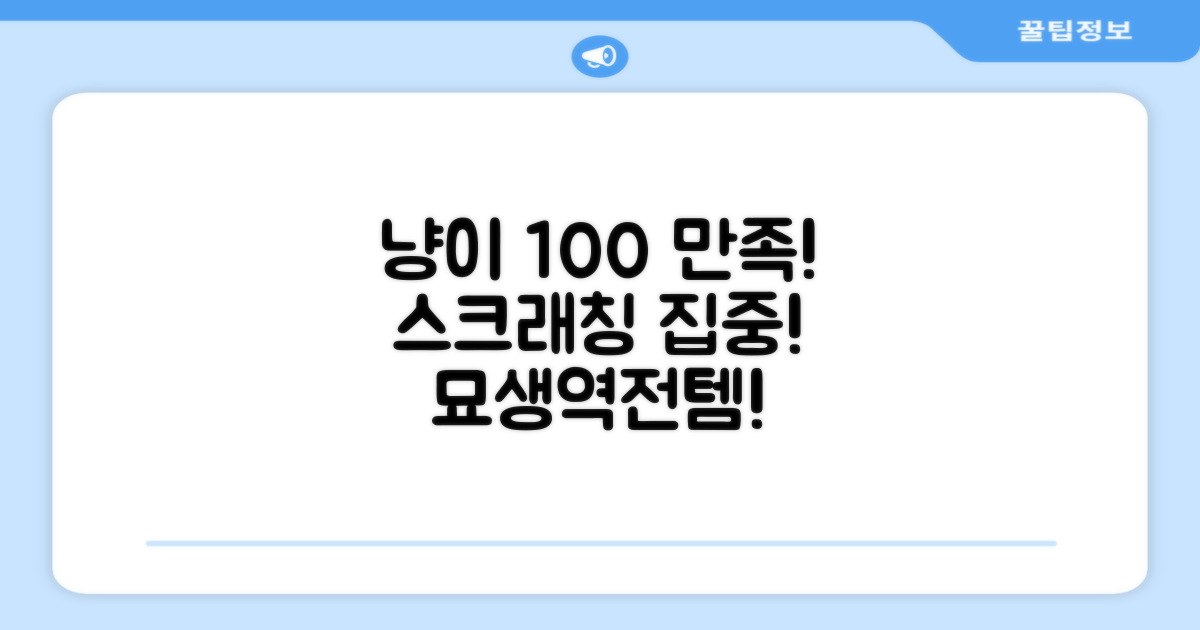 냥이 만족도 100%, 스크래칭 집중