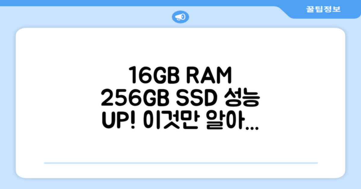 16GB RAM, 256GB SSD 활용