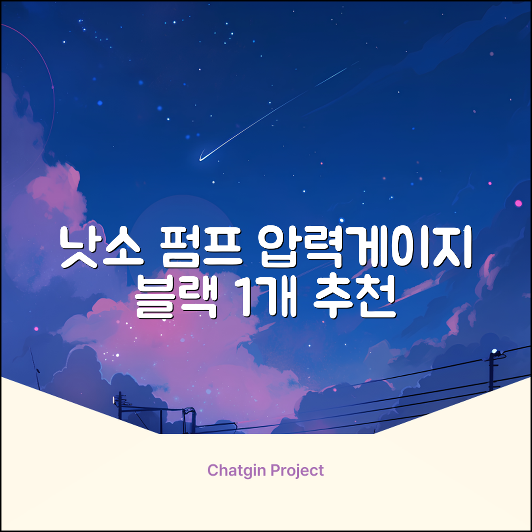 낫소 양방향 압력게이지 펌프, 블랙, 1개 추천 리뷰