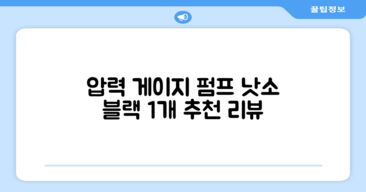 낫소 양방향 압력게이지 펌프, 블랙, 1개 추천 리뷰