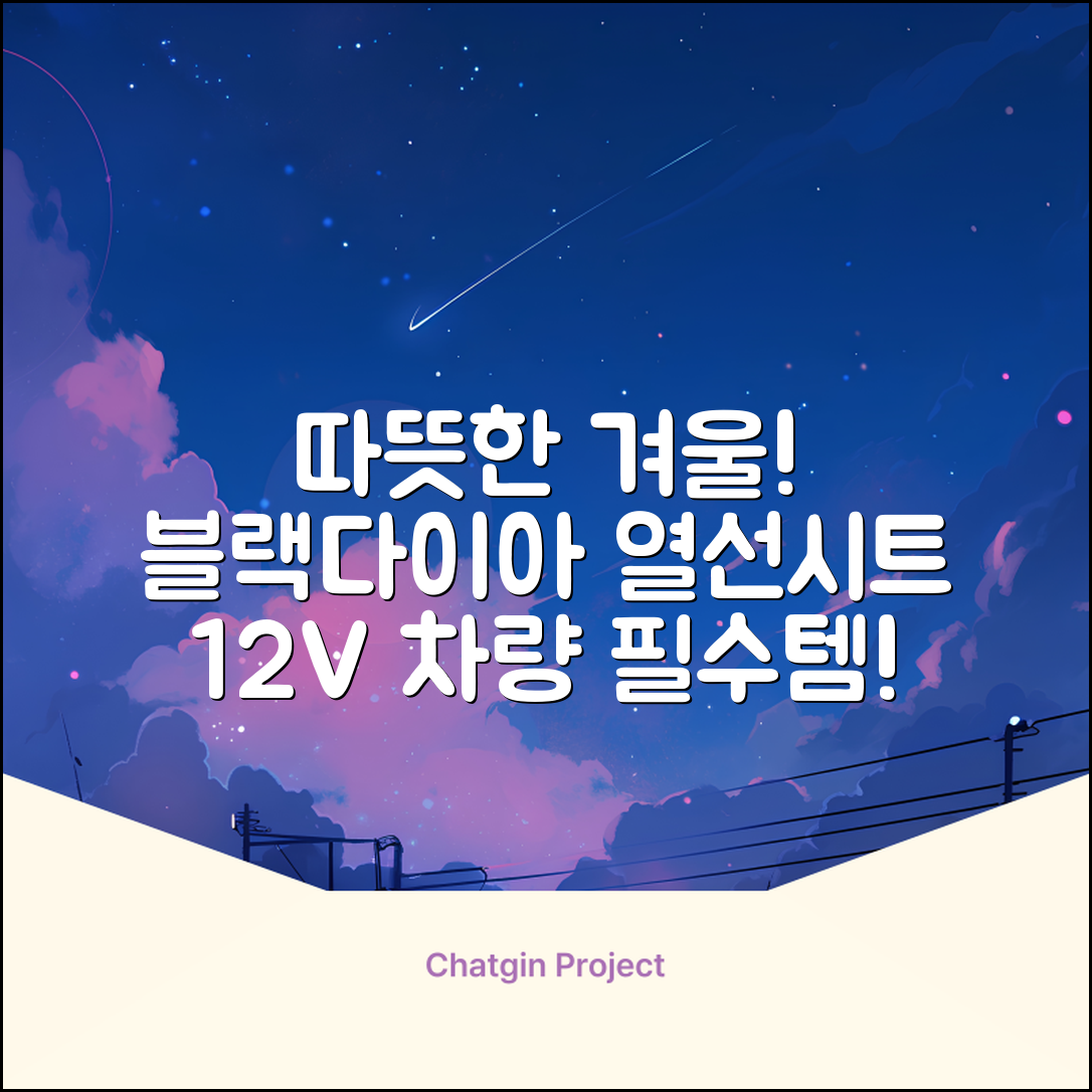 블랙다이아 차량용 열선시트 (1P) 털 겨울 히팅 전기시트, 1개, 12V (운전/조수석) 추천 리뷰