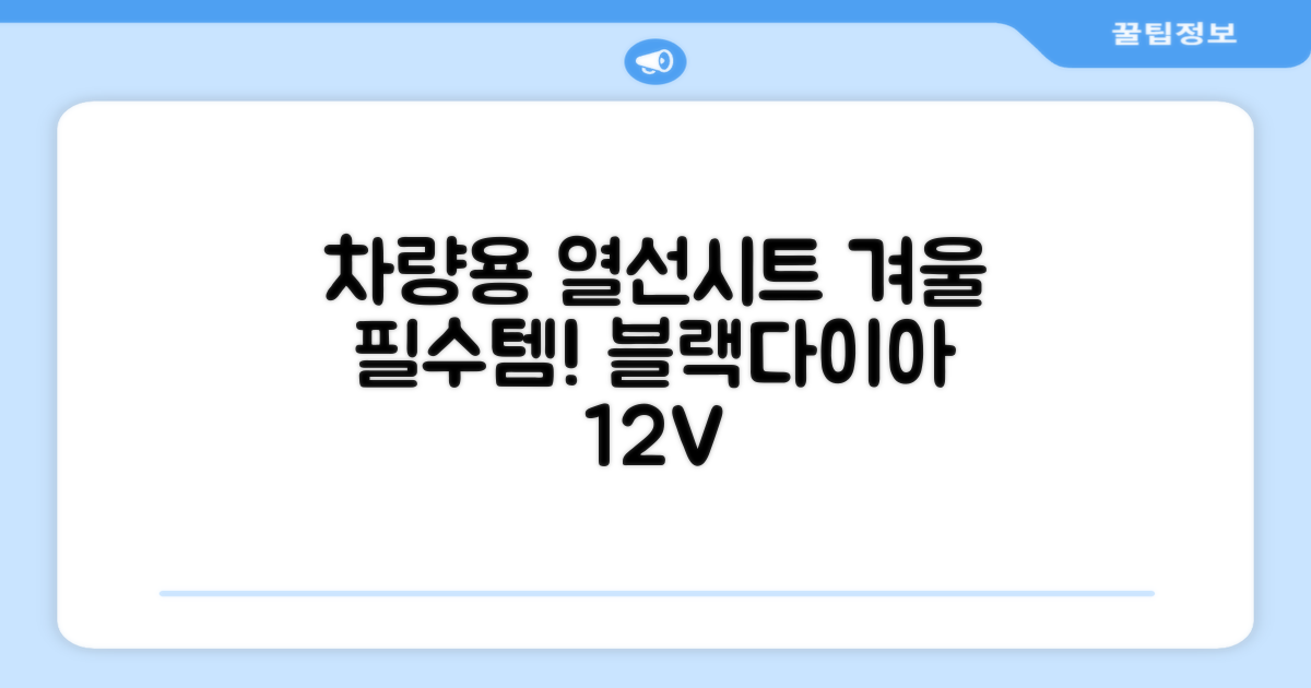 블랙다이아 차량용 열선시트 (1P) 털 겨울 히팅 전기시트, 1개, 12V (운전/조수석) 추천 리뷰