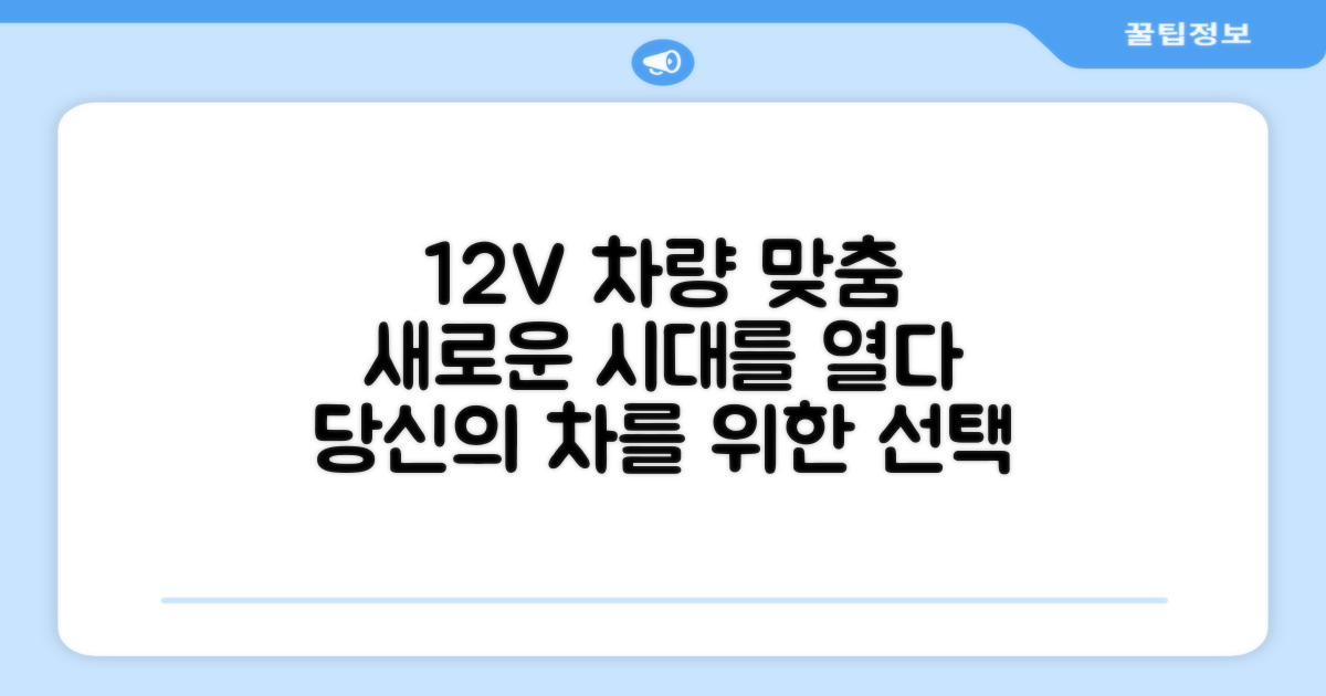 12V 차량 맞춤 설계