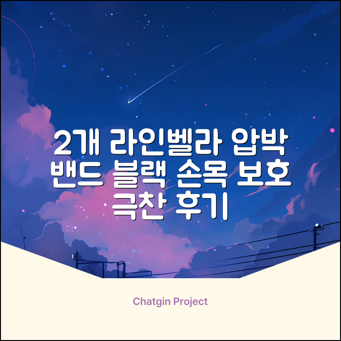 라인벨라 의료용 손목 압박용 밴드 블랙, 2개 추천 리뷰