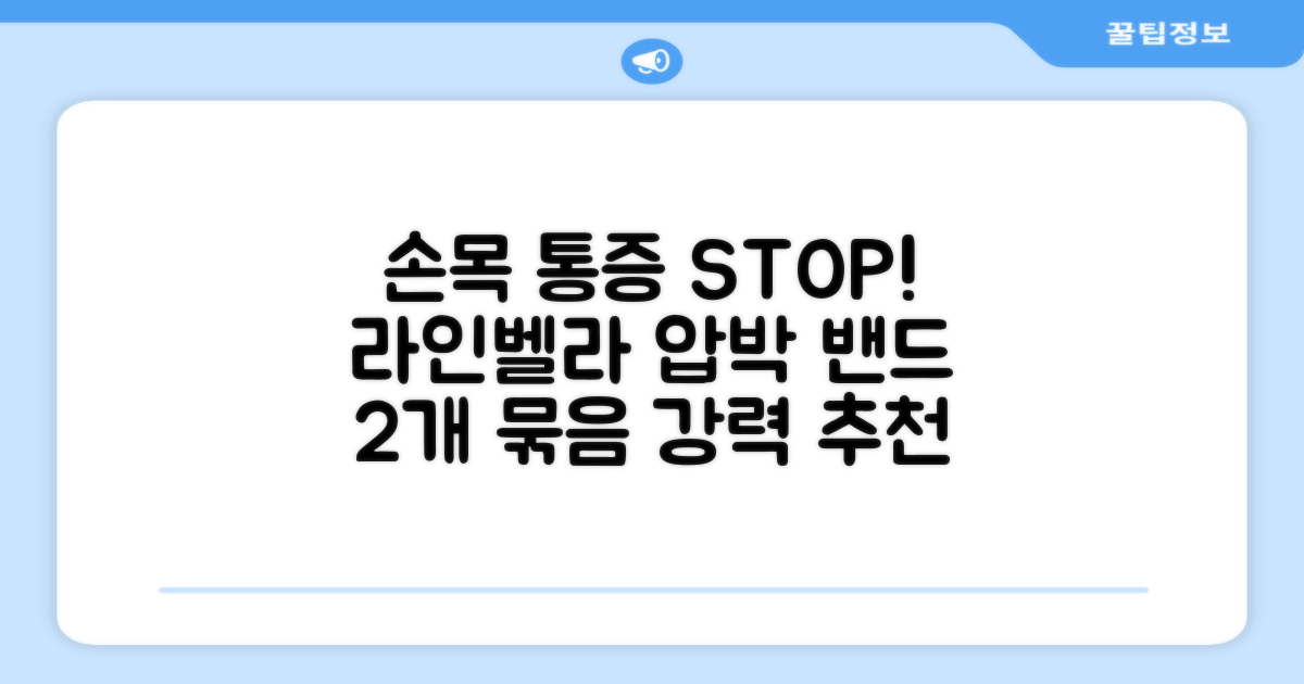 라인벨라 의료용 손목 압박용 밴드 블랙, 2개 추천 리뷰