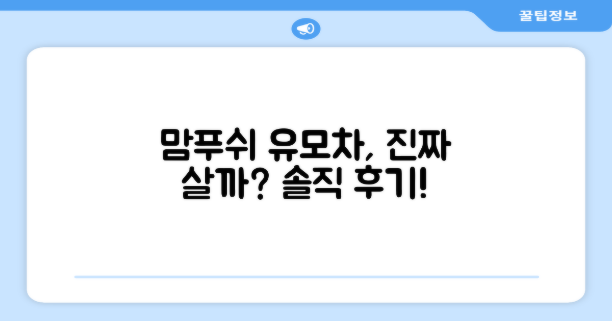 맘푸쉬 유모차, 정말 추천할 만할까요?