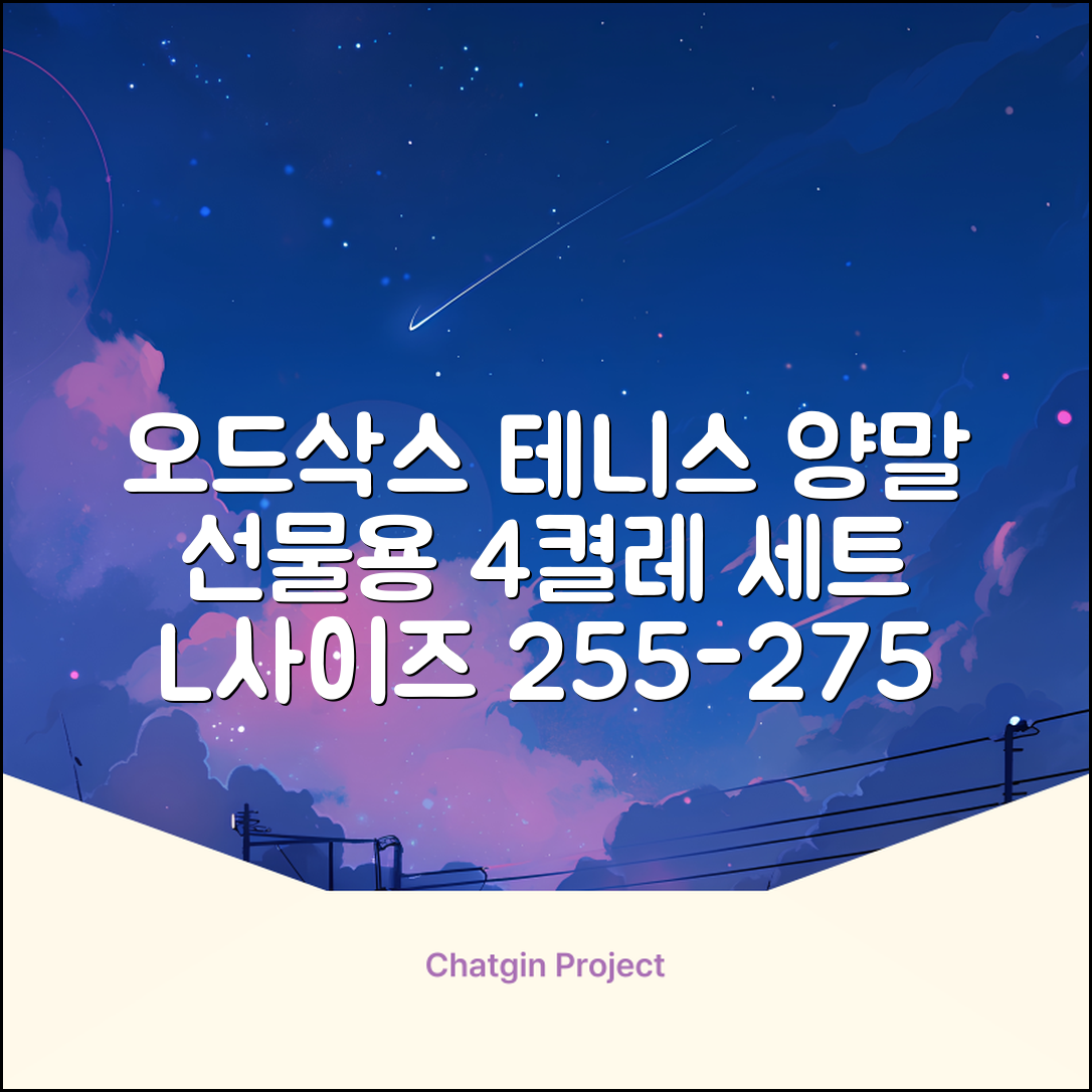 [오드삭스] 테니스 양말 세트B 4켤레 선물용, L(255mm-275mm), 1개 추천 리뷰