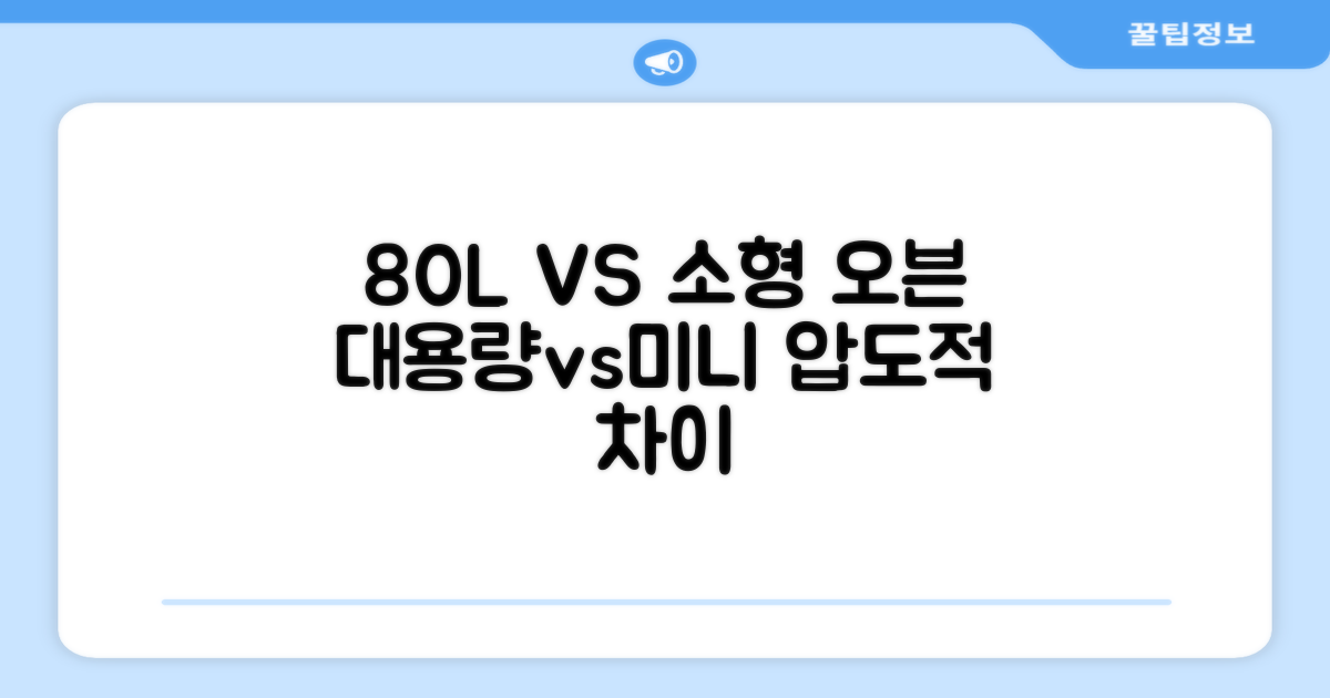 80L vs 소형 오븐