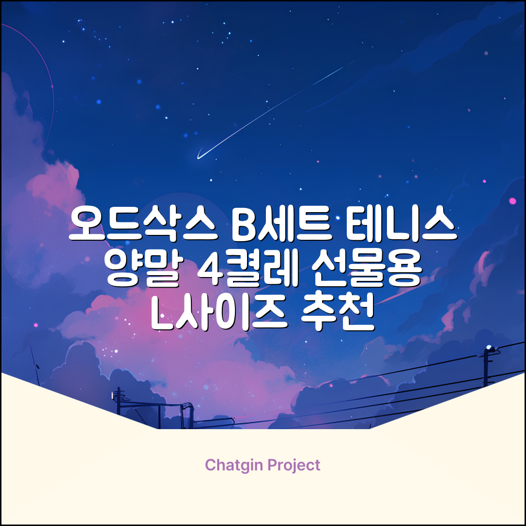 [오드삭스] 테니스 양말 세트B 4켤레 선물용, L(255mm-275mm), 1개 추천 리뷰
