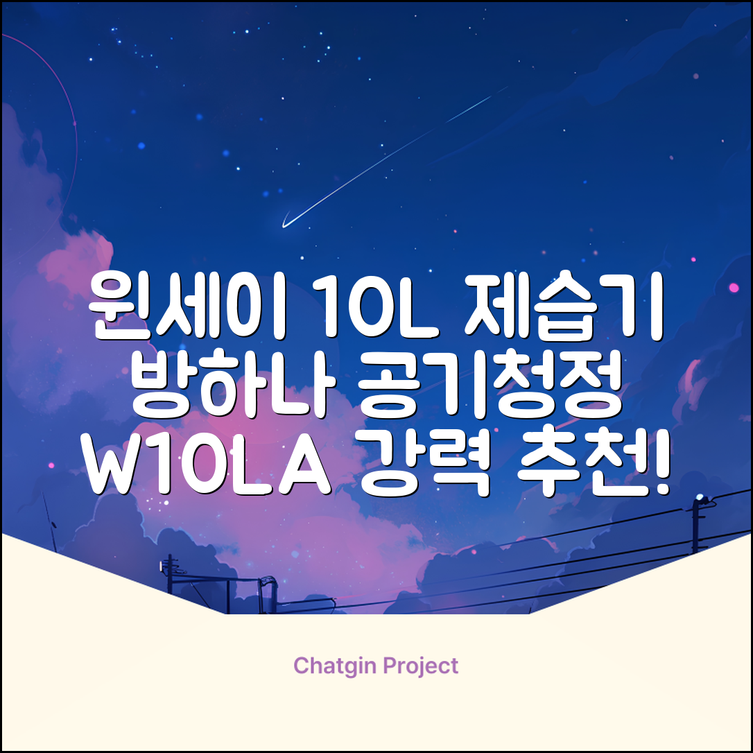 윈세이 인버터 방하나 공기청정 제습기 10L W10LA 추천 리뷰