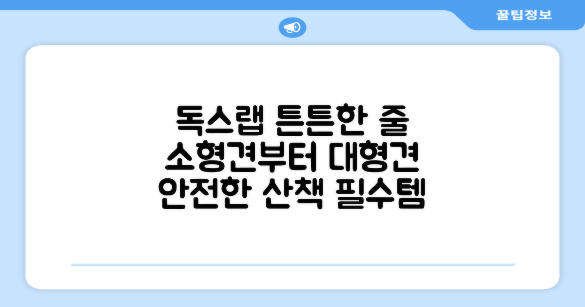 독스랩 1.5m 2m 3m 5m 스트롱 로프 소형견 중형견 대형견 줄 강아지 리드줄 산책줄, 블랙, 1개 추천 리뷰