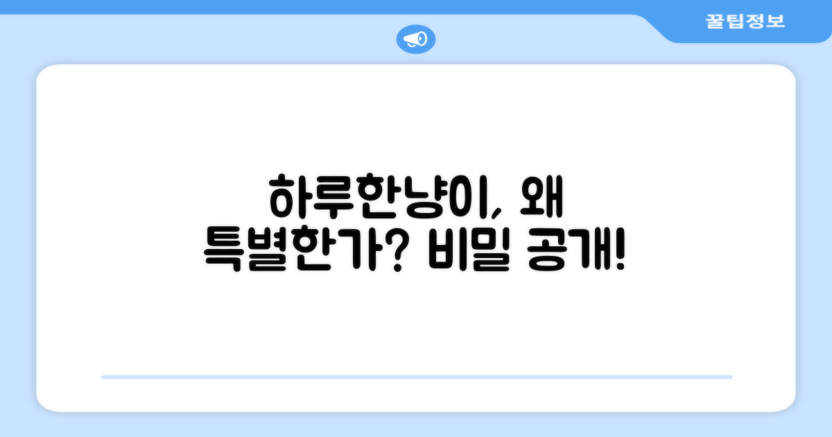 왜 하루한냥이 특별할까?