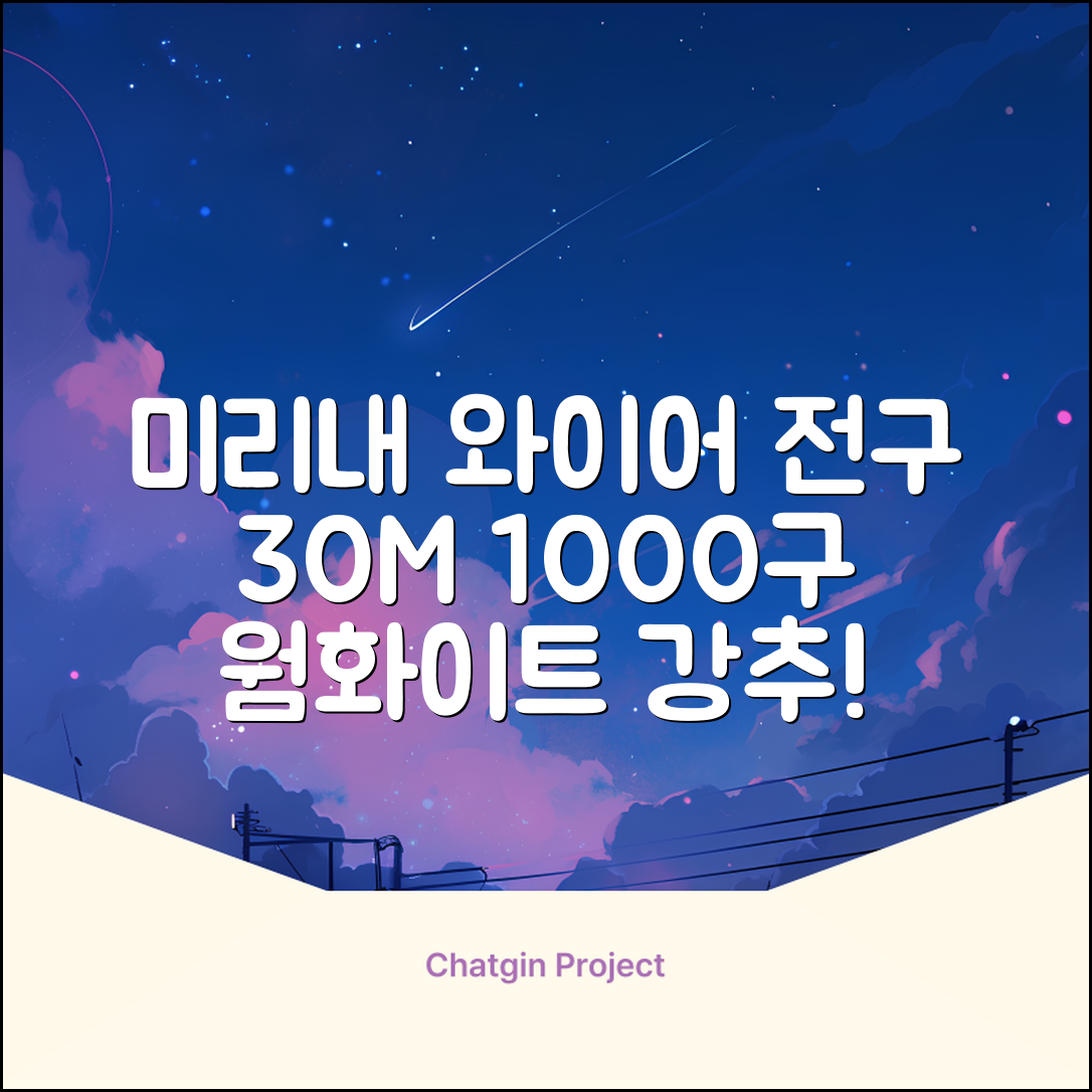 아리조명 LED 미리내 와이어 지네 전구 크리스마스 장식 줄 조명 30M 1000구 실버코팅, 웜화이트, 1개 추천 리뷰