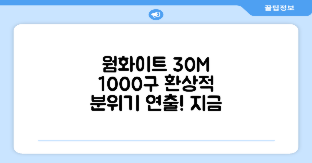 30M 1000구, 웜화이트 환상적 분위기