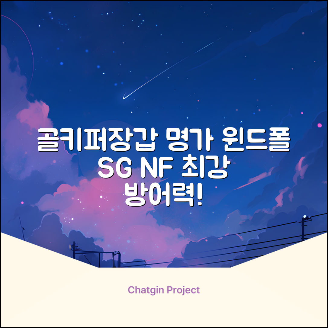 윈드폴스포츠 SG NF 축구 골키퍼장갑 5호-10호, 윈드폴스포츠 SG NF 골키퍼장갑 화이트 블랙, 1개 추천 리뷰